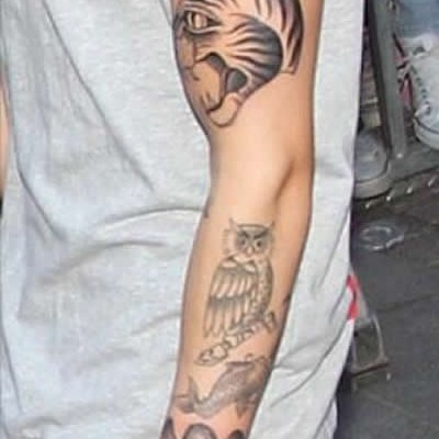 Justin Bieber’s Tiger Arm Tattoo